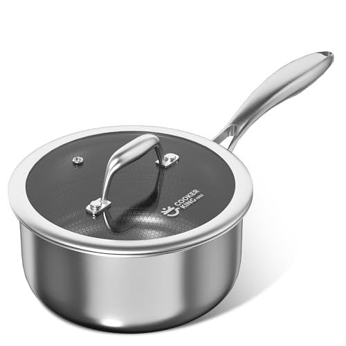 COOKER KING 2 Qt Stainless Steel Saucepan, Small Cooking Pot with Lid - size: 2 Quarts