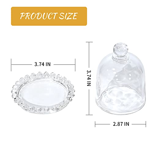MDEOOSKY 10cm/3.94inch 4pcs Cake Domes Cookie Display Cake Holder with Cover Cake Stand for Cake Dessert Single Cupcake Stand Fruit Glass Cover Shield Party Favor