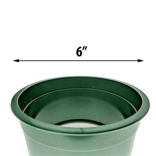 ASR Outdoor 30 Mesh Gold Panning Sifting Classifier Screen Mini 6 Inch - size: 30 Holes per Square Inch