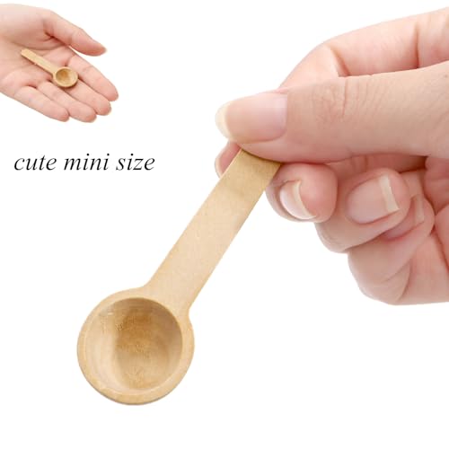Tebery 60PCS Mini Wooden Spoons Small Bath Salt Spoon Candy Spoon Baby Spoon for Spice Jars Seasoning Honey Coffee
