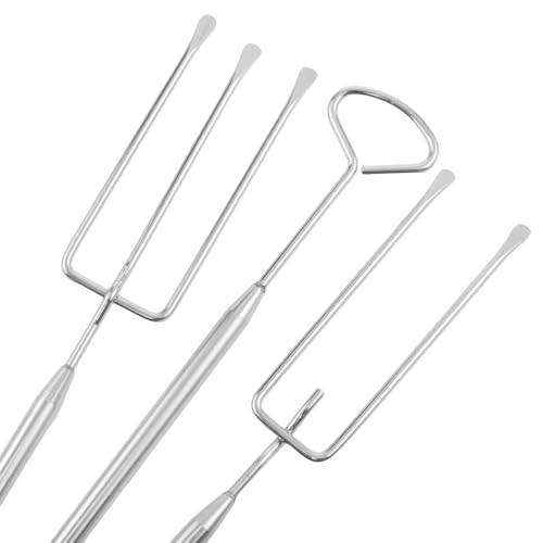 Lovelysp Stainless Steel Sugar Dipping Tools About 7.87 Inches Long 6PCS