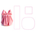 KALAIEN Bow Cookie Cutter, 3Pcs Plastic Bowknot Cutter Sets - color: Large Bow Tie