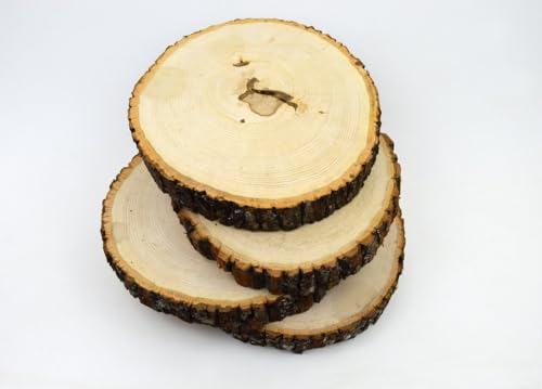 Wilson Décor Large Wood Slices Thick Round Imperfect Extra Value Pack 14pk (9-11 inches x 1 5/8 inches Thick) for Wedding, Table, Rustic, Centerpiece Décor