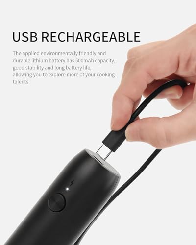 CIRCLE JOY Rechargeable Milk Frother Handheld, Coffee Frother Wand Drink Mixer with Stainless Steel Whisk for Coffee, Cappuccino, Lattes, Frappe, Matcha and Hot Chocolate, Black - color: Black