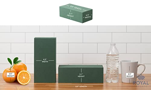 Royal Imports Floral Foam Blocks Pack of 6 (9” x 4.3” x 3.1”) - size: 6 Pack