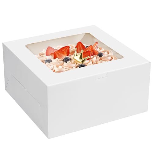 WINKIO Cake Boxes 10 inch, Cake Carrier Holder, Storage Transport Container - size: 10×10×5