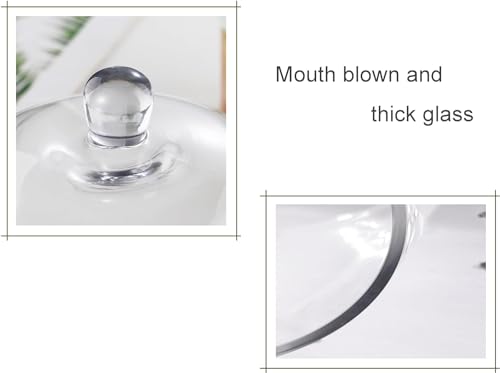 9.6" Wide Handmade Sturdy Glass Cake Dome, Cake Cover Lid for Cake, Food and Display, Glass Topper For Cake Plate And Cake Stand, Cake Stand Topper, Glass Dome Cloche, Glasss (9'6"x5.5") - size: 9.6"x5.5"