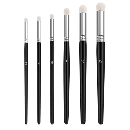 Dry Brush Set, 6 Different Sizes