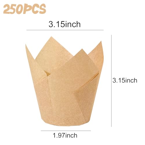 250Pcs Tulip Cupcake Liners,Parchment Paper Cupcake Liners in Standard Size - color: Natural