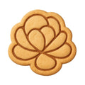 Flapjack Succulent Cookie Cutter & Stamp, Fondant & Clay - 4x4