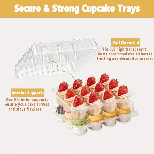 20 Pack Plastic Cupcake Containers,Disposable Cupcake Boxes 12 Count with 240 Cupcake Liners,Cupcake Holders with Tall Dome Lid,Cupcake Carriers Suit for for Baking, Parties, Wedding,Gifting