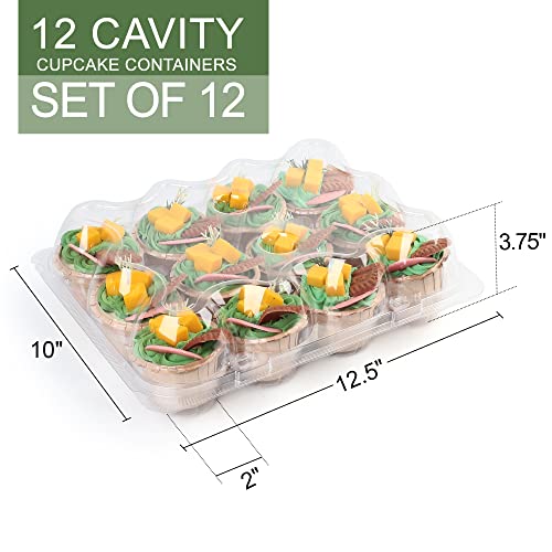 LotFancy 12 Count x 20 Sets Cupcake Containers, Clear Plastic Cupcake Boxes - size: Standard (20 sets)