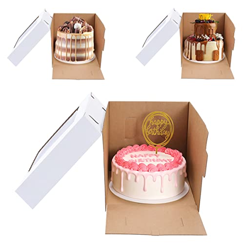 Tall Cake Boxes for Tier Cakes,8X8X10 Inch 4Pack