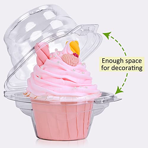 Cupcake Boxes Individual Cupcake Containers 50 Packs