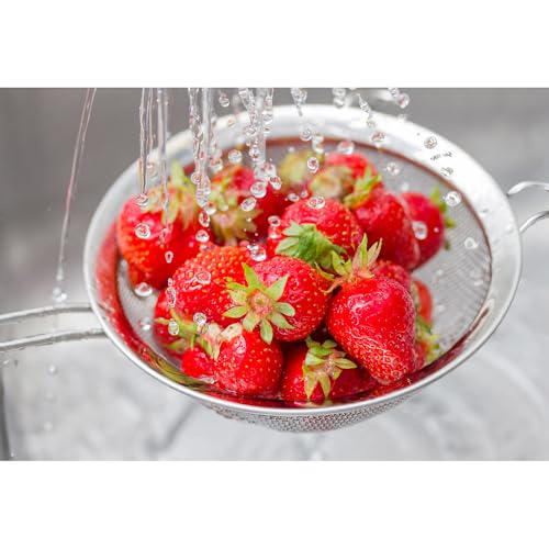 HIC Kitchen Fine Double Mesh Strainer, 18/8 Stainless Steel, 5-Inch, For Sifting Baking Ingredients, Straining, And Draining Soups And Sauces - size: Double Mesh, 5-Inch