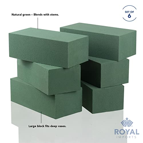 Royal Imports Floral Foam Blocks Pack of 6 (9” x 4.3” x 3.1”) - size: 6 Pack