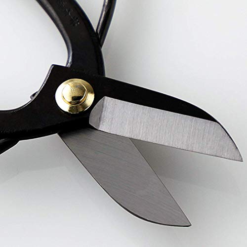 Wazakura Ikebana Tool Kit, Koryu Scissors and Brass Kenzan 3.1in - color: Koryu+brass Kenzan 3-1/4" (80mm)