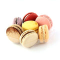 PacknWood-PK210MACYNS7RD-macarons cookies-macaron storage case-small round plastic case-cookie boxes bulk - Round Macaron Insert- (5.1" x 0.8")- case of 150 - style: Case of 150