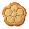 Flower Button Cookie Cutter & Stamp, Fondant & Clay - 4x4"