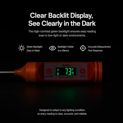 AI Bluetooth Candy & Meat Thermometer with HB Negative LCD, Smart Alerts via App (Type-C Rechargeable) Digital Instant Reading for Candy, BBQ, Deep Frying, & Liquids, 8" Long Probe,CT200-BT