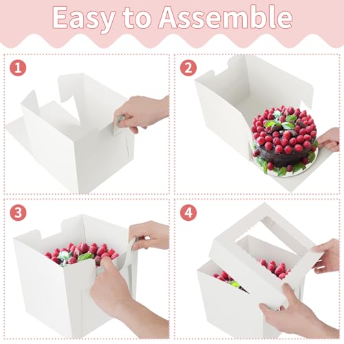 WINKIO Cake Boxes 8 inch, Cake Carrier Holder, Storage Transport Container - size: 8x8x8