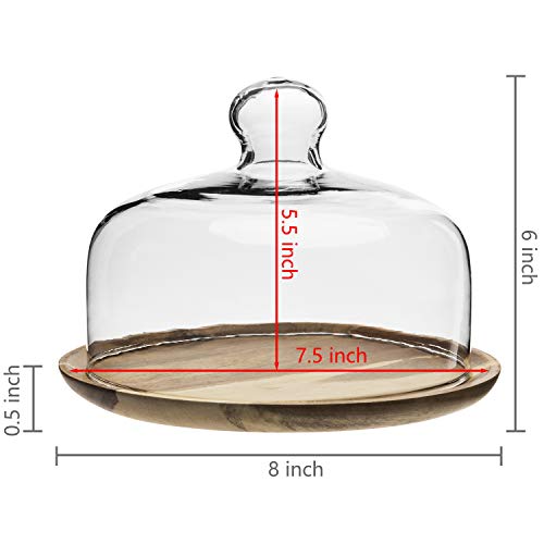 MyGift 7.5 Inch Glass Cloche Dome Dessert Tray with Acacia Wood Base - size: 8"