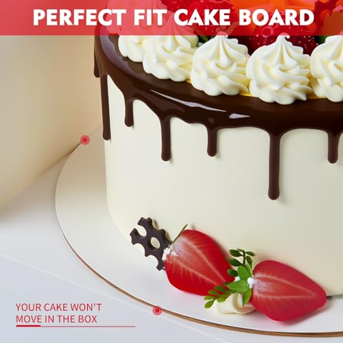 5 Pack Cake Boxes, 10X10X5 In, Disposable Cake Containers with Lids