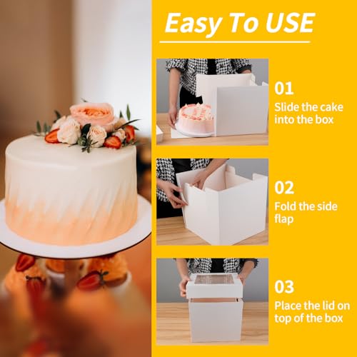 WINKIO Cake Boxes 10 inch, Cake Carrier Holder, Storage Transport Container - size: 10×10×10