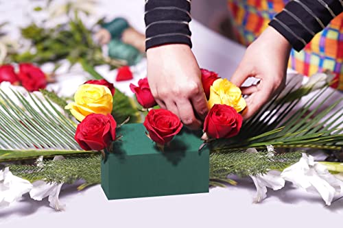 FLOFARE Large Pack of 3 Floral Foam Blocks Green Wet & Dry Flower Foam for Fresh & Artificial Flower Arrangement, Plant Foam, Florist Supplies for DIYs, Arts, Crafts & Weddings - size: Large Pack of 3