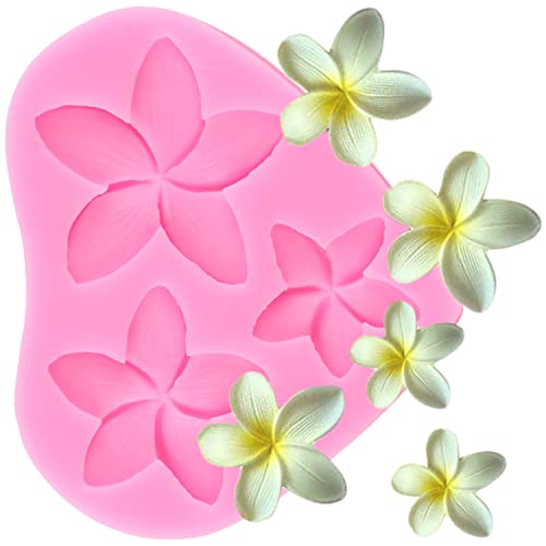 ZiXiang Plumeria Flower Silicone Mold Hibiscus Flower Fondant Mold - color: Style D