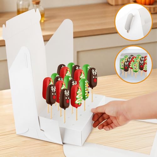 Cake Pop Boxes Packaging with Sticks, Display Carrier, 5 Boxes & 100 Sticks