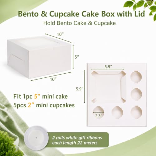 Dicunoy 6 Pack Bento Cake Box with Cupcakes, 13" Cookie Combo Box 6 Count