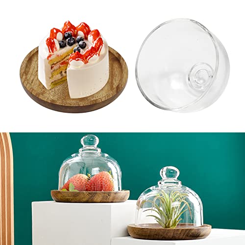 Glass Dome with Wooden Base
