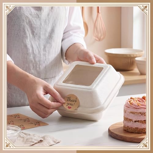 Bento Cake Box Clamshell Container Kit, 50 Set, White - color: White