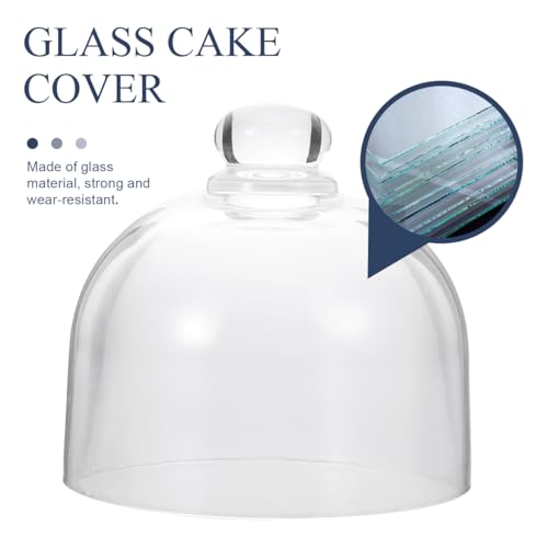 HEALLILY Glass Dome Cloche Clear Bell Jar Display Dome Jar Display Centerpiece for Plants Succulents Fairy Lights Photos Medals 9. 5X9. 5X8. 5CM