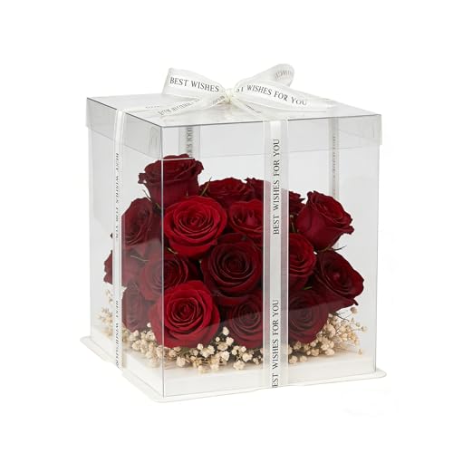 6 Pack Clear Cake Box, Transparent Cake Box for 2 Tiered Cake, 8x8x9Inch Tall Cake Carrier Box with Sturdy Board for Bakery Dessert Bread Pastry Birthday Parties Wedding Graduation
