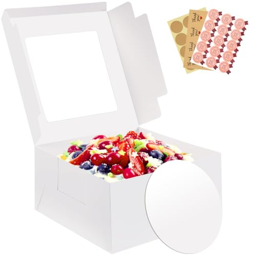 5 Pack Cake Boxes, 10X10X5 In, Disposable Cake Containers with Lids