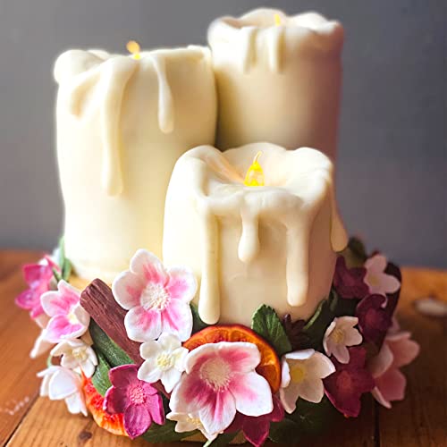 Katy Sue Hellebore Christmas Rose Silicone Mold for Christmas Cake Decorating and Crafts - Makes 3 Flowers & 3 Leaves - size: Flower heads 52, 38, 28mms