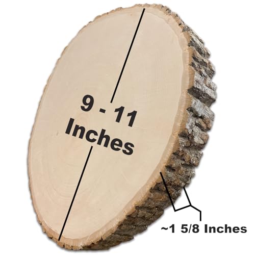 Wilson Décor Large Wood Slices Thick Round Imperfect Extra Value Pack 14pk (9-11 inches x 1 5/8 inches Thick) for Wedding, Table, Rustic, Centerpiece Décor