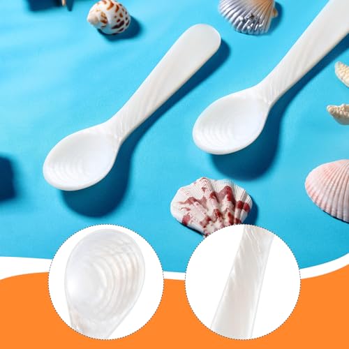 Patelai 2 Pieces Mother of Pearl Caviar Spoons Round Handle, 10cm/3.93 Inch - size: 3.93 inches