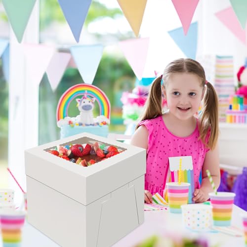 WINKIO Cake Boxes 8 inch, Cake Carrier Holder, Storage Transport Container - size: 8x8x8