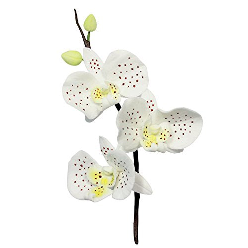 PME Stainless Steel Moth Orchid Petal Cutters, Set of 3
