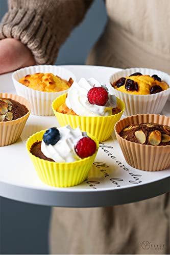 Doiaz Silicone Lunch Bento Box Dividers, Bento Bundle Lunch Box Accessories for Lunch Containers