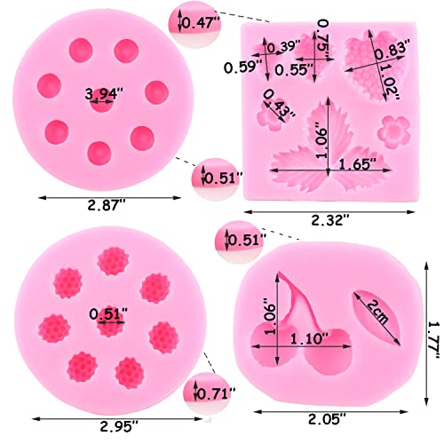 ZiXiang Blueberry Raspberry Cherry Strawberry Cake Fondant Molds Set Of 4 - color: Style A