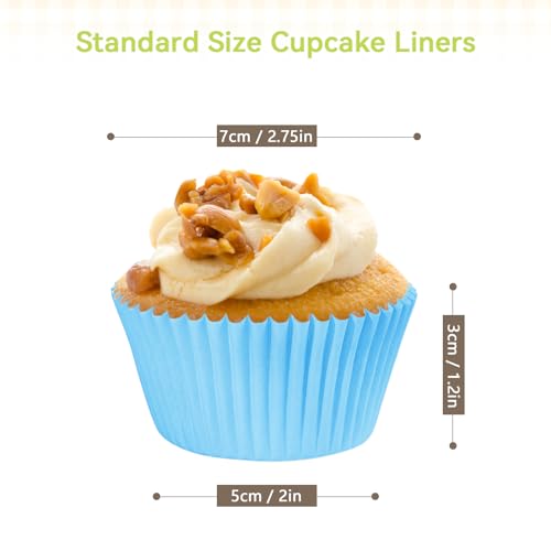 Rainbow Standard Cupcake Liners 400 Count Colorful Paper Baking Cups Disposable Cupcake Wrappers for Holiday and Party Baking Supplies