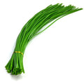 Green tubular flower stems wrap (glossy green 5MM 60CM)50PCS - size: glossy green 5MM50PCS