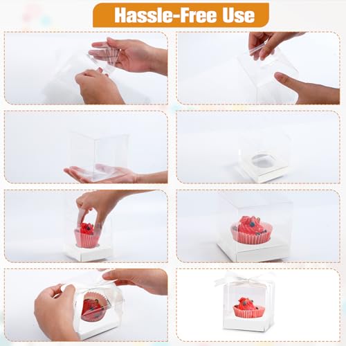 50 Pcs Plastic Cupcake Boxes, 3.5 Inch, White, Clear