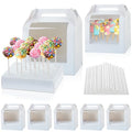 Cake Pop Boxes Packaging with Sticks, Display Carrier, 5 Boxes & 100 Sticks