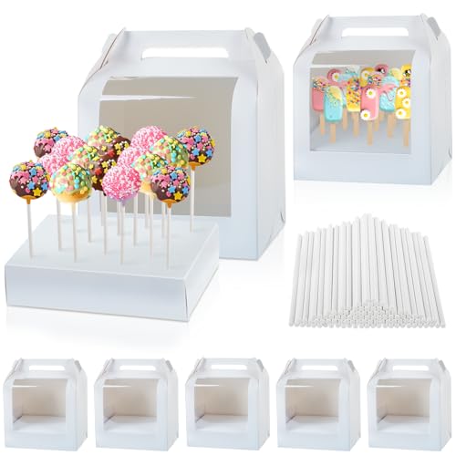 Cake Pop Boxes Packaging with Sticks, Display Carrier, 5 Boxes & 100 Sticks