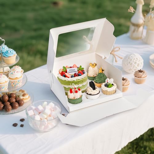 Dicunoy 6 Pack Bento Cake Box with Cupcakes, 13" Cookie Combo Box 6 Count